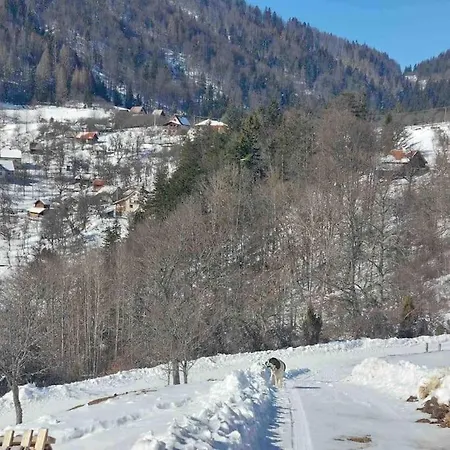 Apartament Zaovinski Kutak - 30m2 *