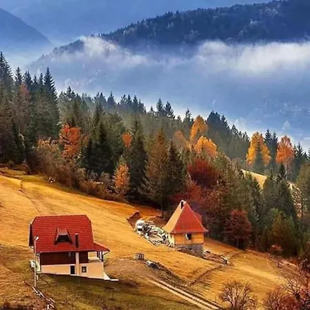 Zaovinski Kutak - 30m2 *